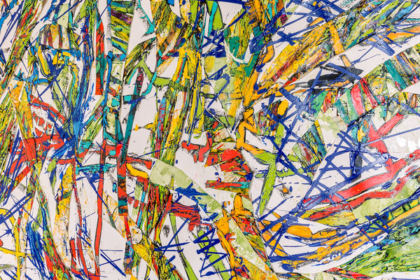 Summer Garden and Pond Plants Nº 1