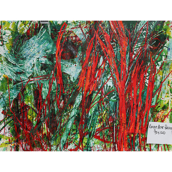 Rouge Acer Forest
