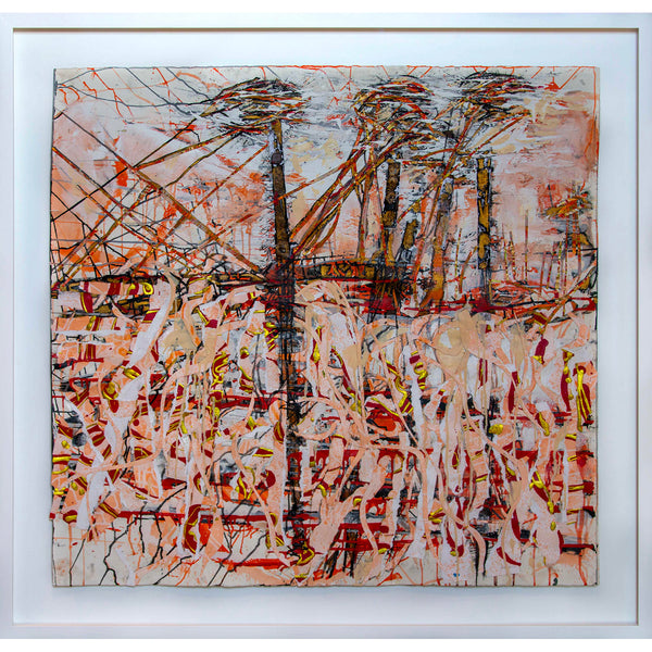 Reflections After Fires