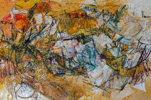 New Body of Work - Shredded Coast