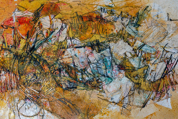 New Body of Work - Shredded Coast