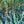 River Bank Nº 1