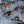 Low Tide, Mud Flats Nº 7