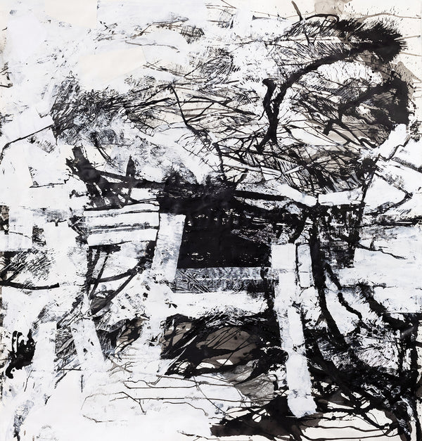 Australia Summer Study Nº 1