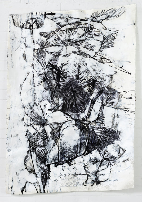 Australia Summer Study Nº 4