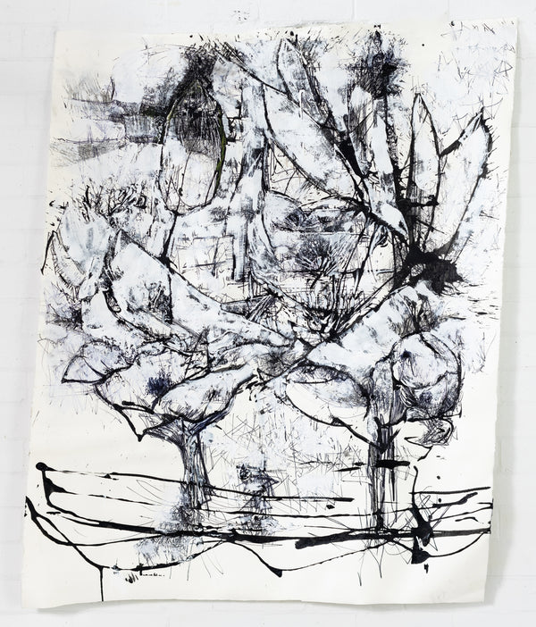 Australia Summer Study Nº 5