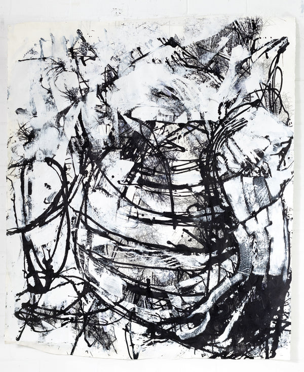 Australia Summer Study Nº 6