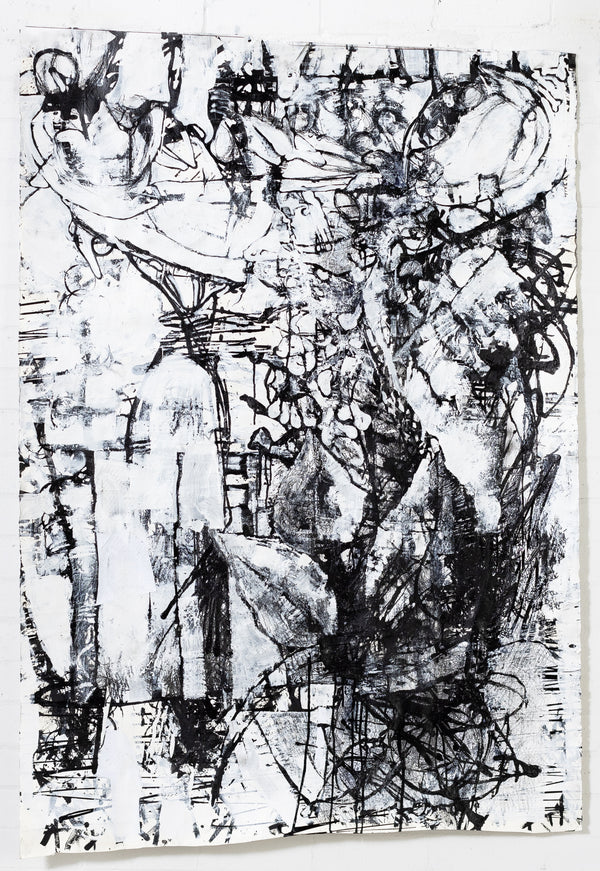 Australia Summer Study Nº 2