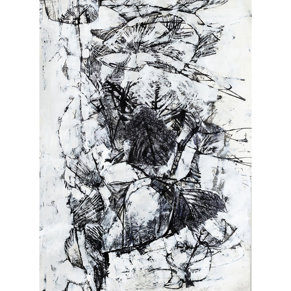 Australia Summer Study Nº 4