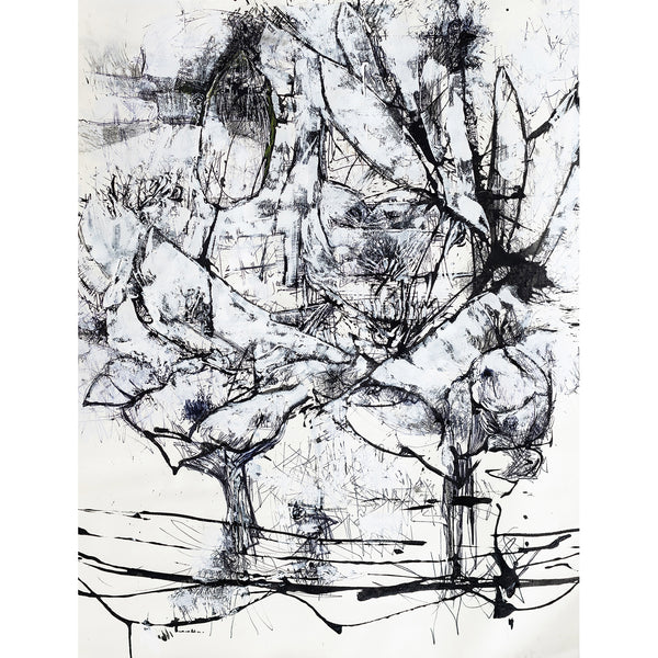 Australia Summer Study Nº 5