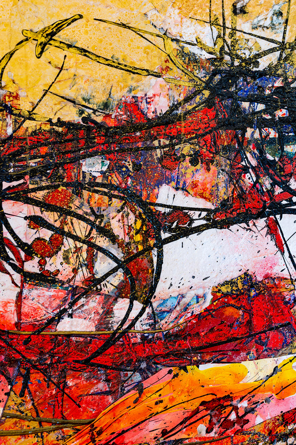 Shredded Nº 5